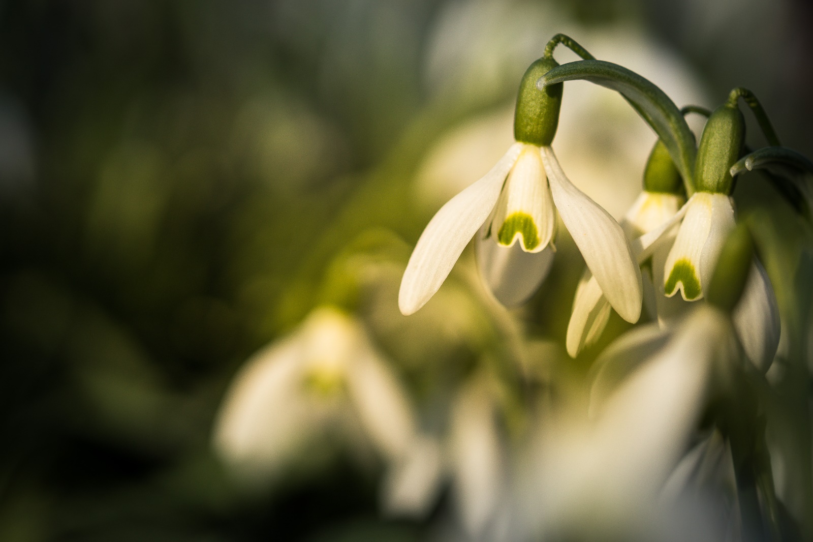 12. Platz Sandra Neher